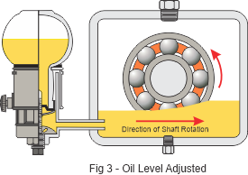 Fig 3 - Level Adjusted